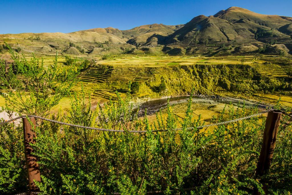 Eco Inn Colca Yanque Ngoại thất bức ảnh