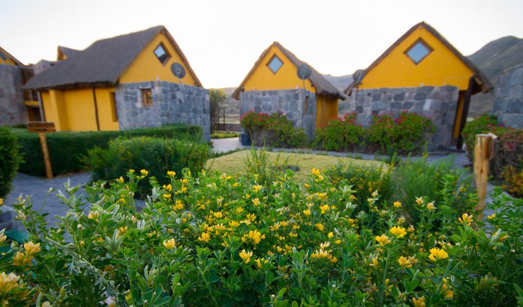 Eco Inn Colca Yanque Ngoại thất bức ảnh