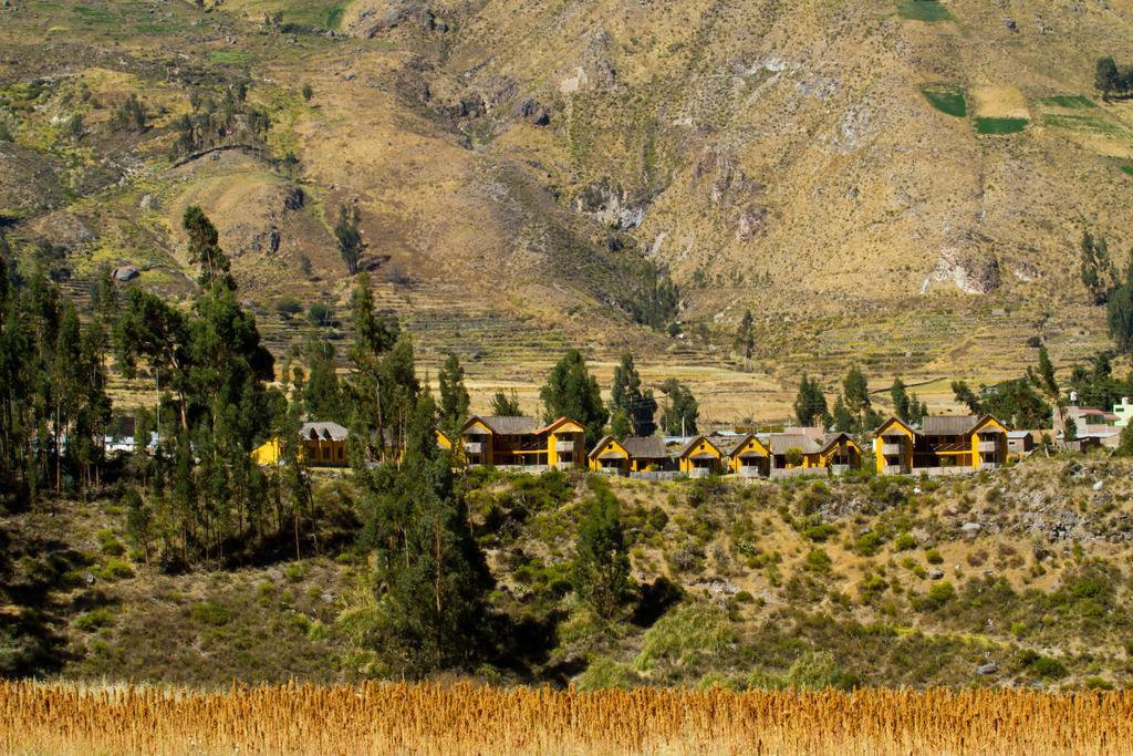 Eco Inn Colca Yanque Ngoại thất bức ảnh