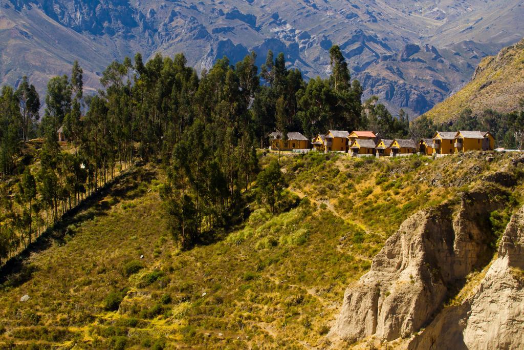 Eco Inn Colca Yanque Ngoại thất bức ảnh