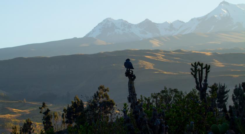 Eco Inn Colca Yanque Ngoại thất bức ảnh