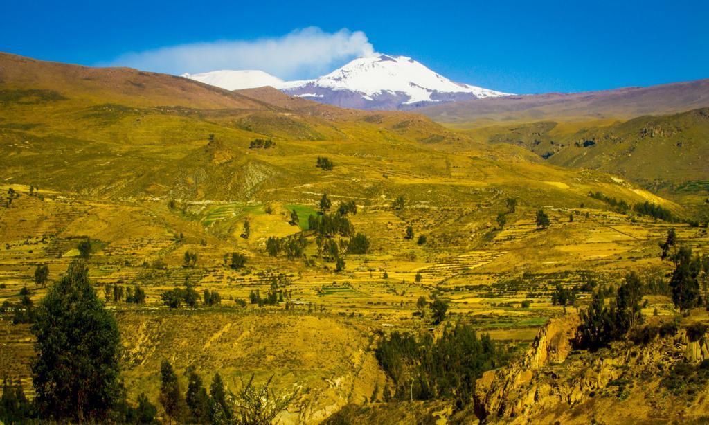 Eco Inn Colca Yanque Ngoại thất bức ảnh