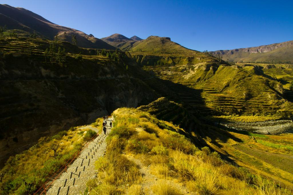Eco Inn Colca Yanque Ngoại thất bức ảnh